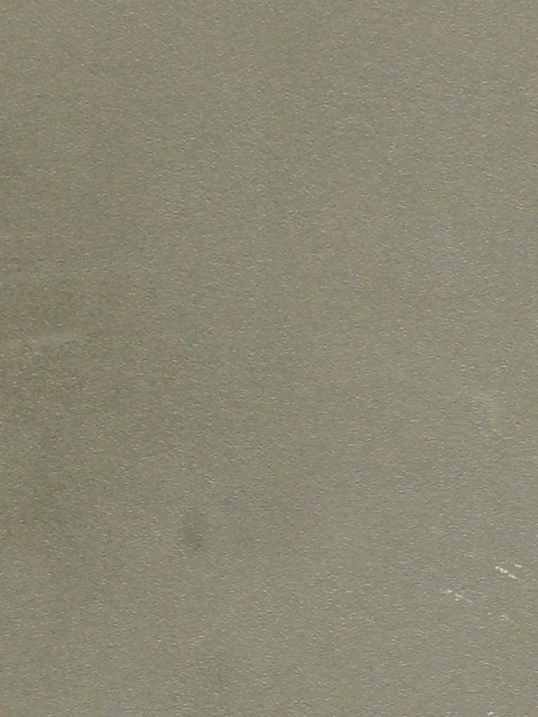  CLORESA MONIQUE MOSS Photo Image