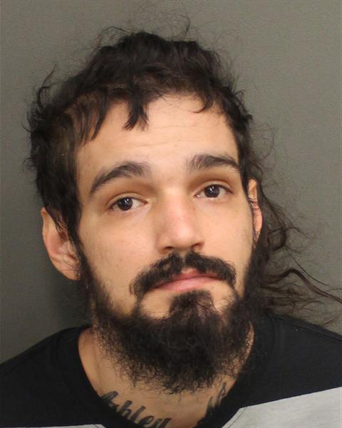 TONY JOSE IRIZARRY Mugshot TONY JOSE IRIZARRY Mugshot / County Arrests / Orange County Arrests