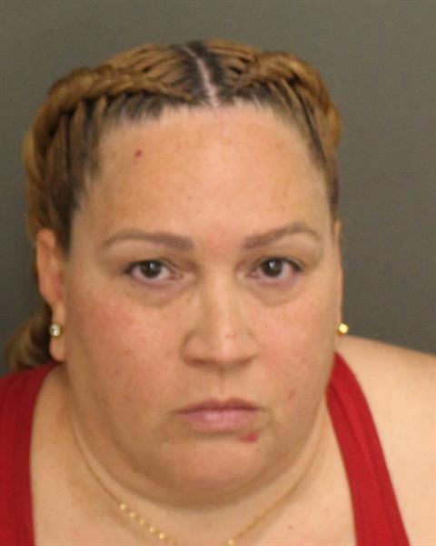 GLENDA LIZ REYES NIEVES Mugshot GLENDA LIZ REYES NIEVES Mugshot / County Arrests / Orange County Arrests