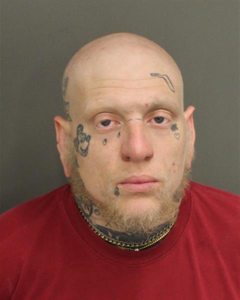  STEVEN ALEXANDER LONG Mugshot / County Arrests / Orange County Arrests