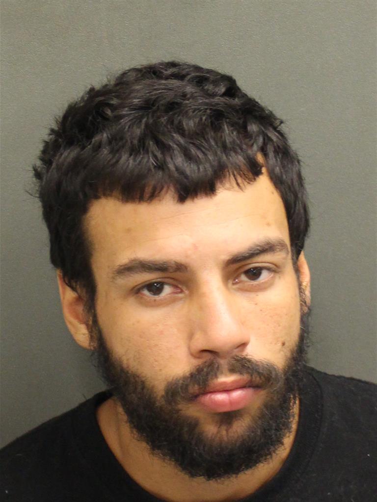  LUIS EDUARDO JR ORTIZ Mugshot / County Arrests / Orange County Arrests