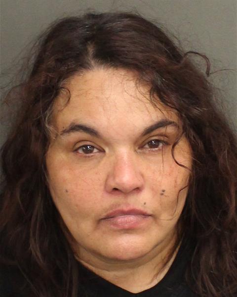  JAMIE ANN RITENOUR Mugshot / County Arrests / Orange County Arrests