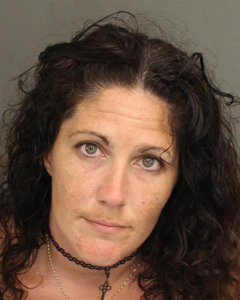  CARI ANN LEWIS Mugshot / County Arrests / Orange County Arrests