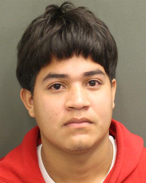  HEYNER ANTONIO CASTELLONHAMMER Mugshot / County Arrests / Orange County Arrests