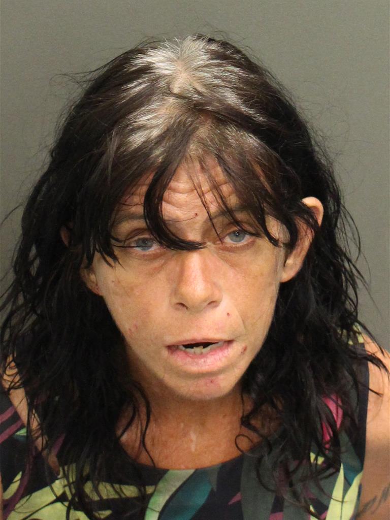  TINA BEATRICE MITCHELL Mugshot / County Arrests / Orange County Arrests