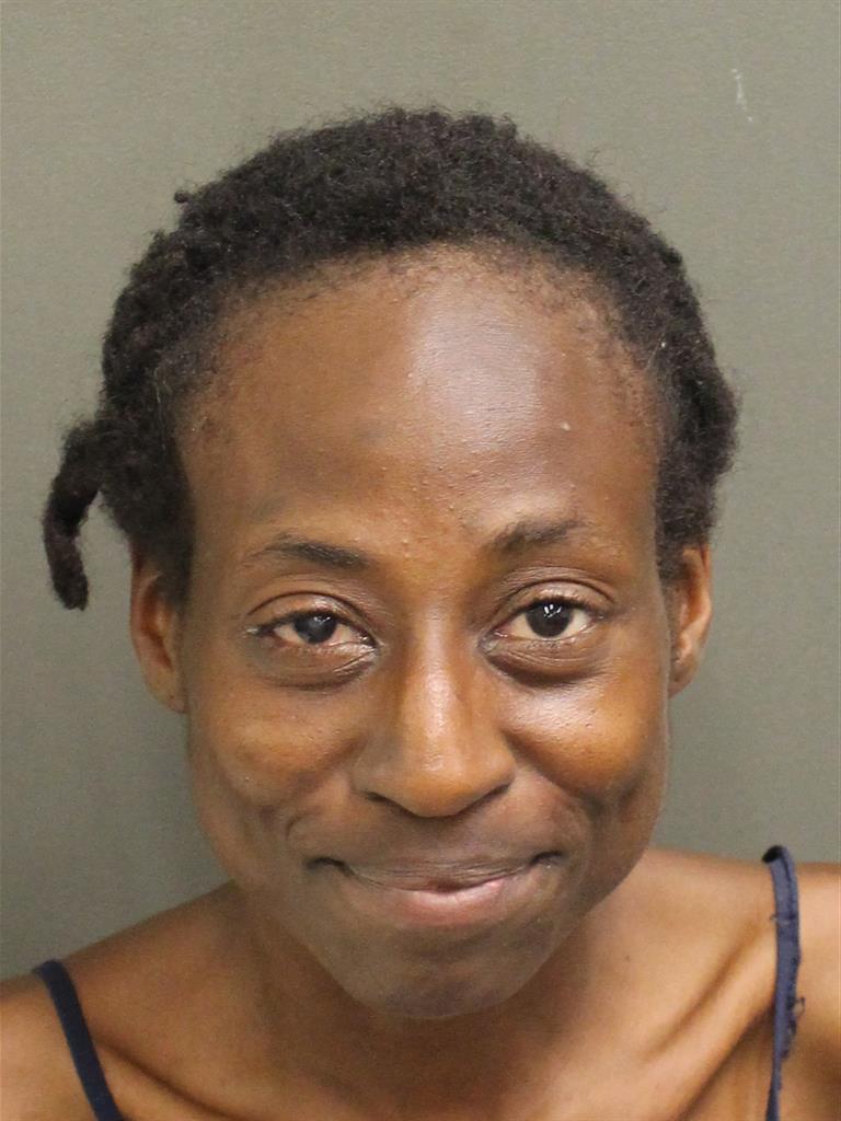  AMBER PORTERFIELD Mugshot / County Arrests / Orange County Arrests