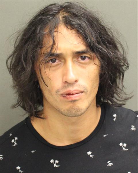  ANGELO MARTIN CONSOLI Mugshot / County Arrests / Orange County Arrests