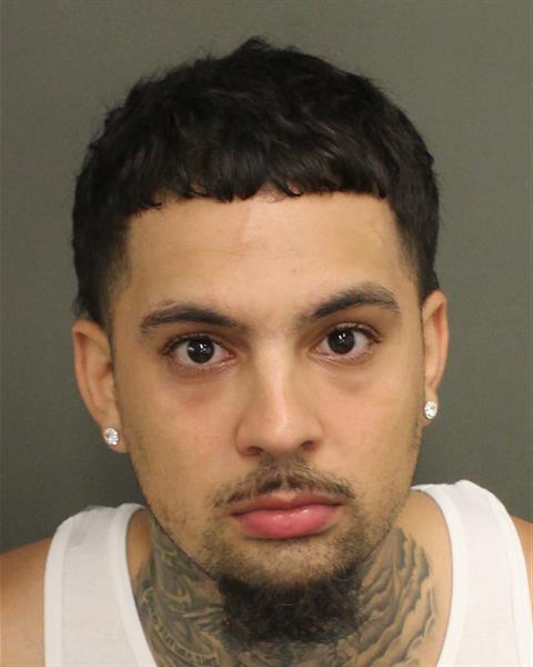  RAFAEL ROI TORRES Mugshot / County Arrests / Orange County Arrests