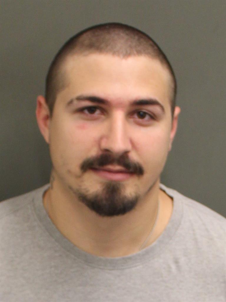 MICHAEL VINCENT SCHWAMBACH Mugshot MICHAEL VINCENT SCHWAMBACH Mugshot / County Arrests / Orange County Arrests
