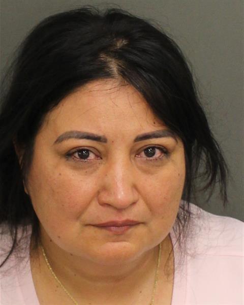 ANA MILENA VARONGARCIA Mugshot / County Arrests / Orange County Arrests