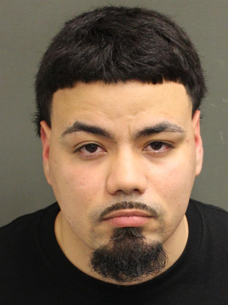  ANGEL Y NIEVESTORRES Mugshot / County Arrests / Orange County Arrests