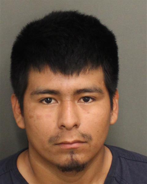  WENSIS ROBERTO LUCASDOMINGO Mugshot / County Arrests / Orange County Arrests