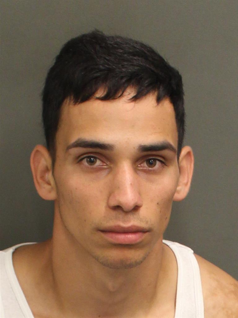  YAN GONZALEZSANCHEZ Mugshot / County Arrests / Orange County Arrests