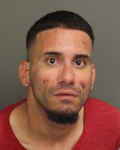  ELIAS ANGEL AVILESFINES Mugshot / County Arrests / Orange County Arrests