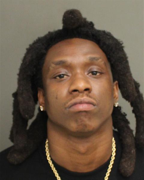  SYDNEY JULIEN Mugshot / County Arrests / Orange County Arrests