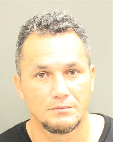  ALBERTH IDEL BRAVO Photo Image