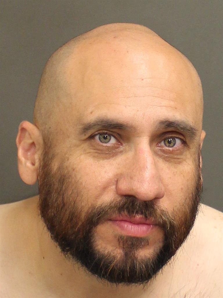  HOWARD ERNST WEBB Mugshot / County Arrests / Orange County Arrests