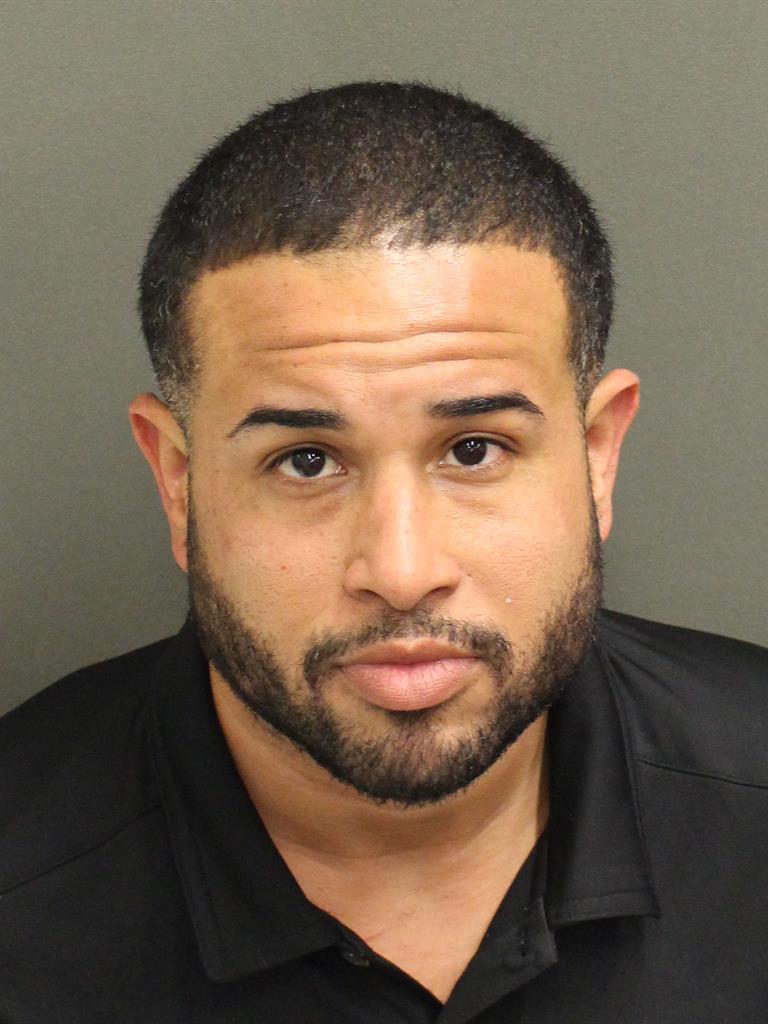  RICARDO GABRIEL ROSARIOBURGOS Mugshot / County Arrests / Orange County Arrests