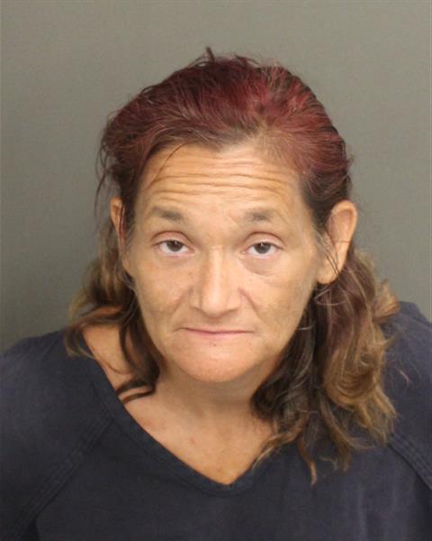  PATRICIA JO LIPA Mugshot / County Arrests / Orange County Arrests