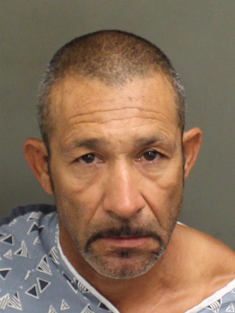  EDELMIRO  JR CASTILLO Mugshot / County Arrests / Orange County Arrests