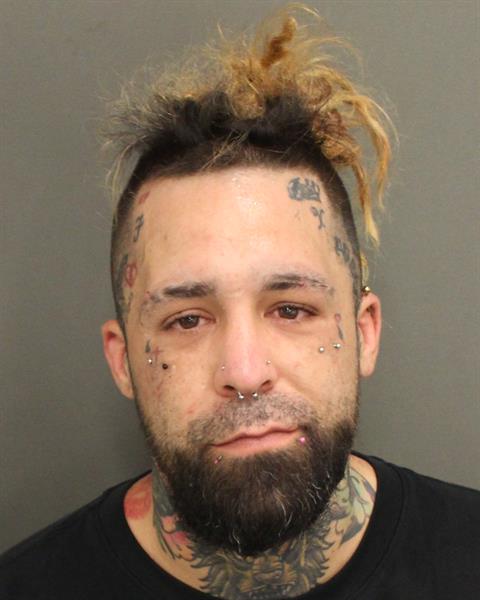  FERNANDO RAFAEL FELIU Mugshot / County Arrests / Orange County Arrests