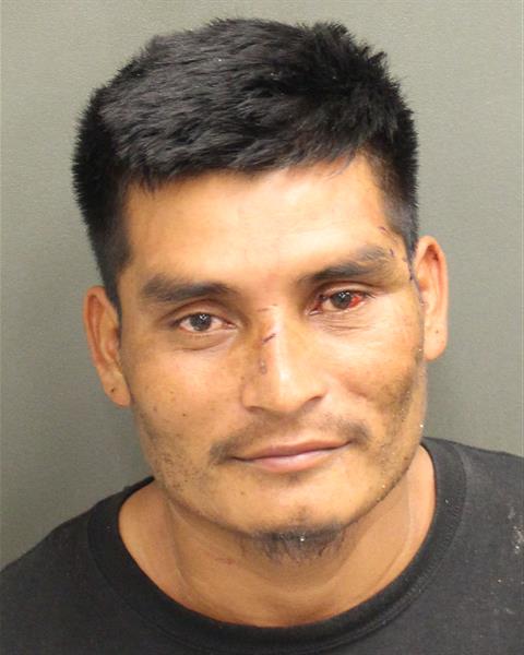  HENRI LEONELO Mugshot / County Arrests / Orange County Arrests