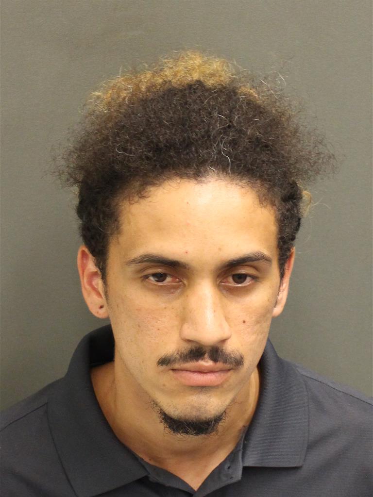  ALBERTO ANDRES JR MEDINA Mugshot / County Arrests / Orange County Arrests