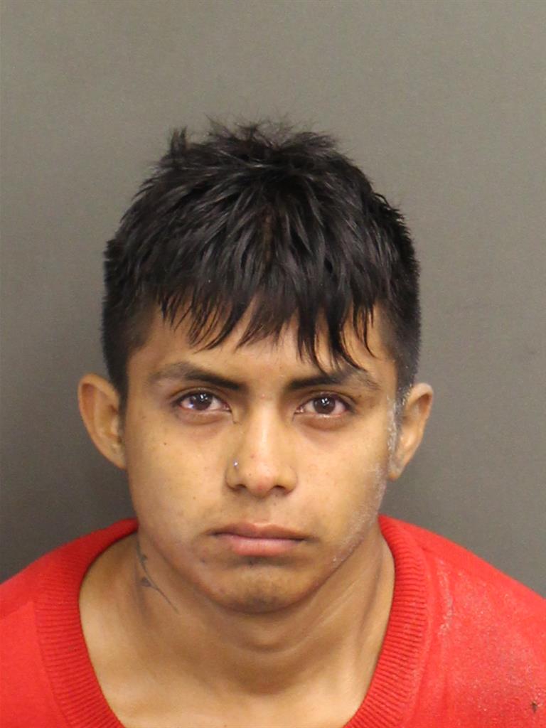  LUIS ENRIQUE CALVOAVILA Mugshot / County Arrests / Orange County Arrests