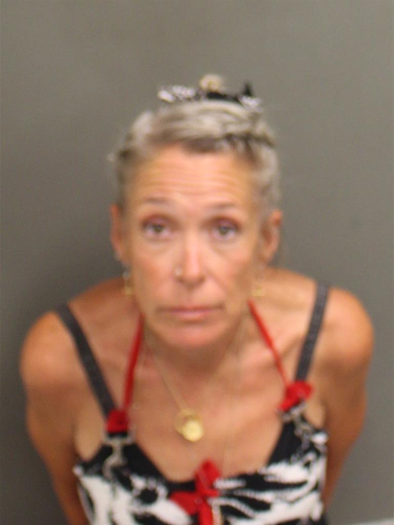  DEBBI ANNE RYAN Mugshot / County Arrests / Orange County Arrests