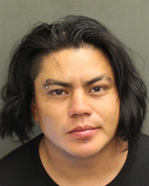  RAUL VENTURAARREAGA Mugshot / County Arrests / Orange County Arrests