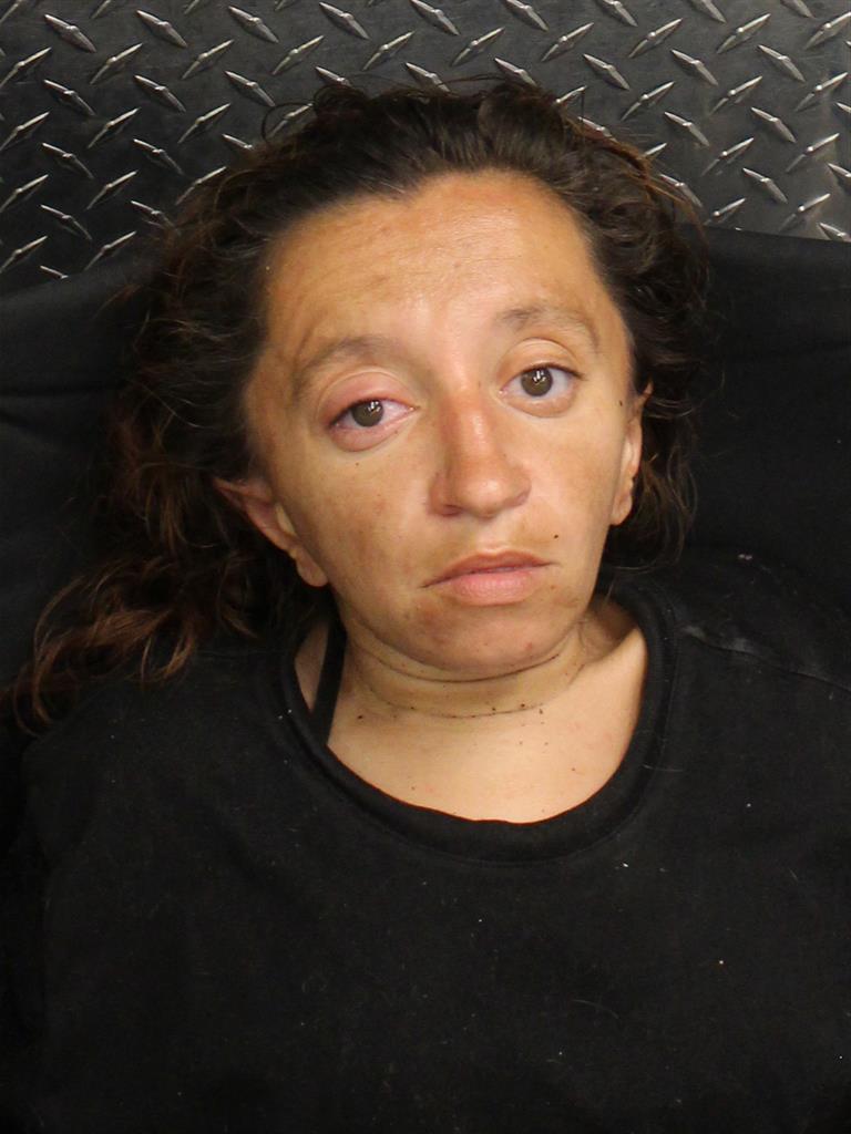  DELORES ANN SELIVON Mugshot / County Arrests / Orange County Arrests