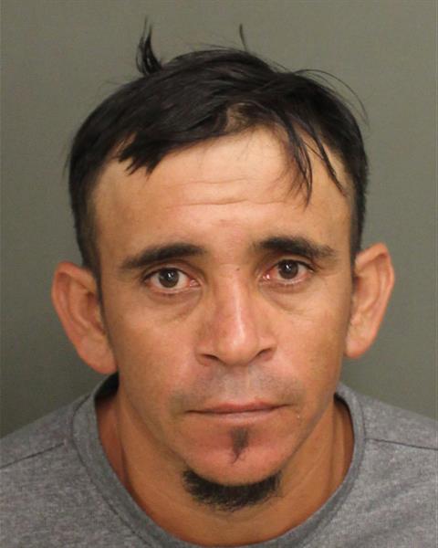  WILMER NOHEL RODRIGUEZCANALES Mugshot / County Arrests / Orange County Arrests