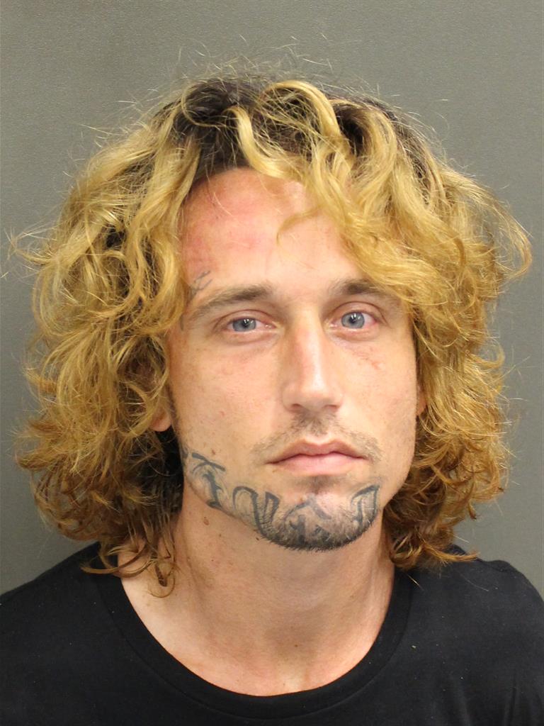  DAVID MICHAEL OCCHINO Mugshot / County Arrests / Orange County Arrests