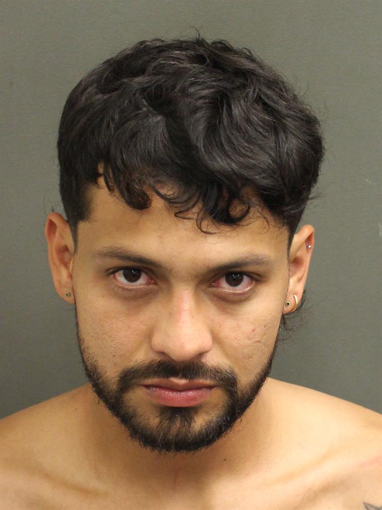  LUIS FERNANDO SANDAVOL Mugshot / County Arrests / Orange County Arrests