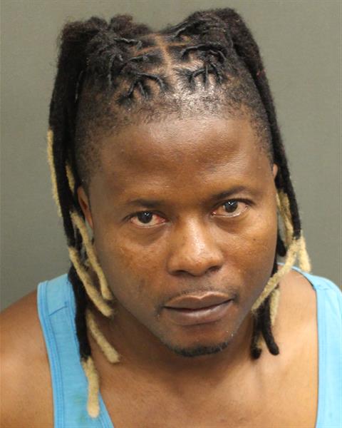 CEDIEU JNLOUIS Mugshot CEDIEU JNLOUIS Mugshot / County Arrests / Orange County Arrests