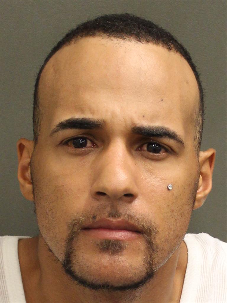  EDWIN MARTIN DELAROSAPOLANCO Mugshot / County Arrests / Orange County Arrests
