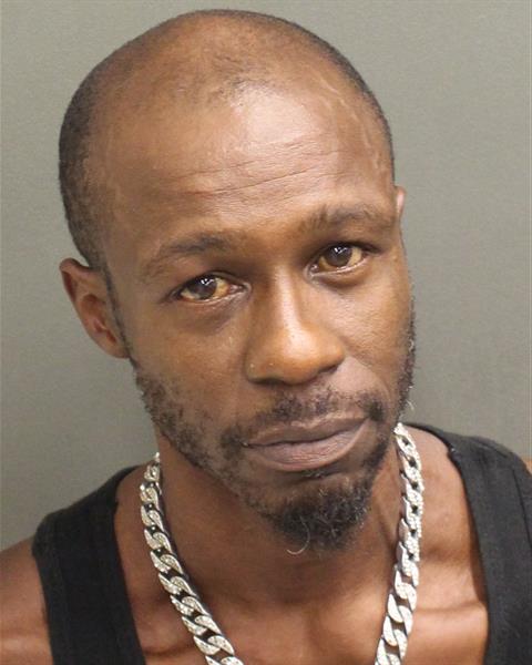  RANDOLPH ARTIE II BURNETT Mugshot / County Arrests / Orange County Arrests