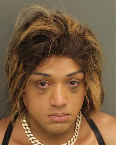  JONATHAN JOHNNY IRIZARRY Mugshot / County Arrests / Orange County Arrests