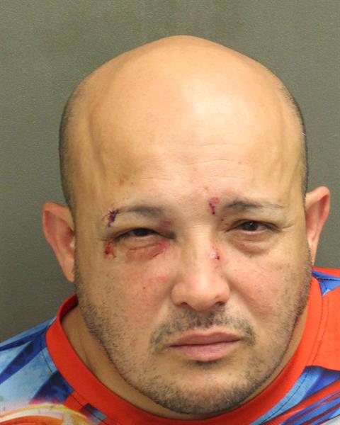  LUIS I MERCADO Mugshot / County Arrests / Orange County Arrests