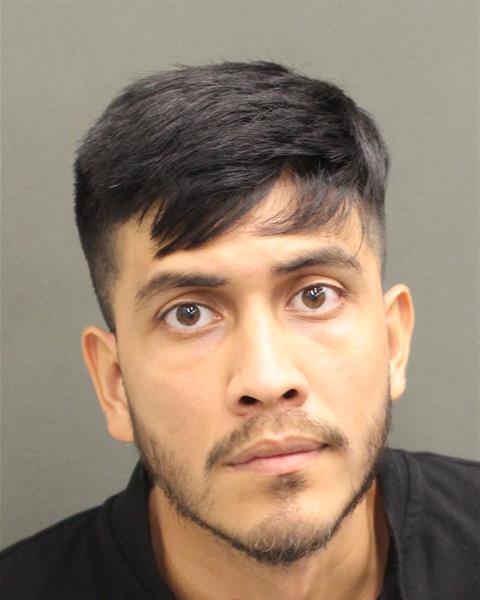  RICHARD MANUEL FERNANDEZSANCHEZ Mugshot / County Arrests / Orange County Arrests