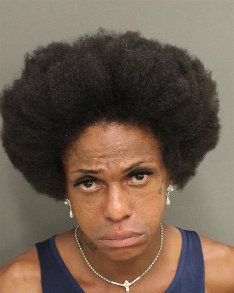  VALENTINE DANTE CARR Mugshot / County Arrests / Orange County Arrests