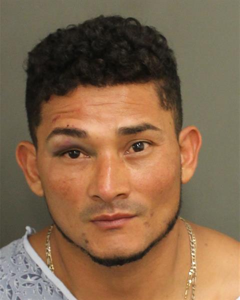  FERNANDO VENTURA Mugshot / County Arrests / Orange County Arrests