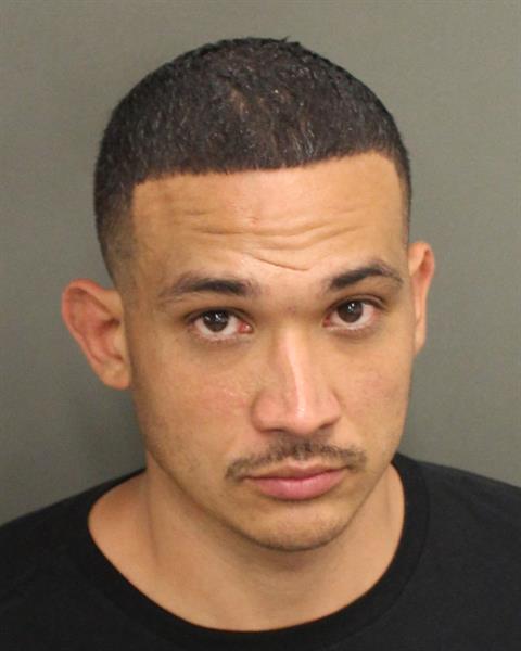  JOEL RIVERO Mugshot / County Arrests / Orange County Arrests