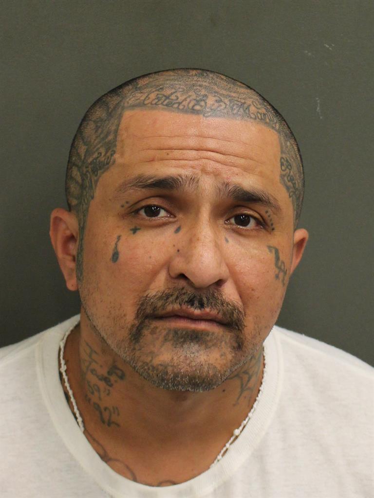 DAVID FLORES Mugshot DAVID FLORES Mugshot / County Arrests / Orange County Arrests