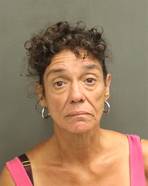  JAN ROFFE Mugshot / County Arrests / Orange County Arrests