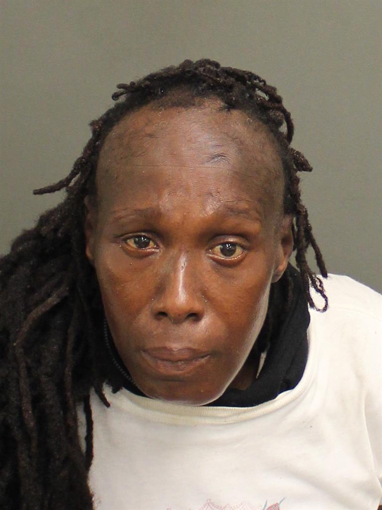  ELIZABETH A LOWRY Mugshot / County Arrests / Orange County Arrests