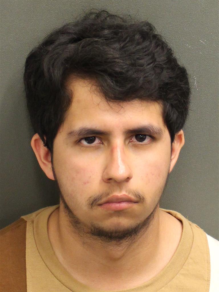  RAFAEL  JR MIRABAL Mugshot / County Arrests / Orange County Arrests