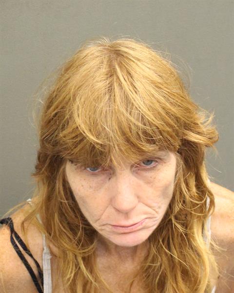  SHAWN FELDT Mugshot / County Arrests / Orange County Arrests