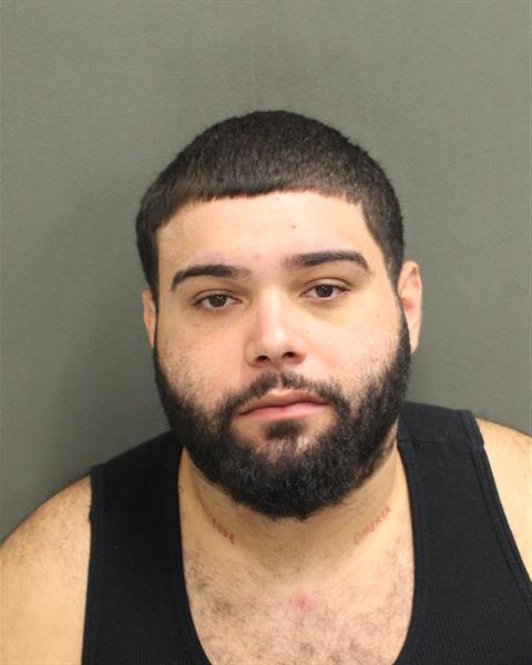  IVAN L RIVERA Mugshot / County Arrests / Orange County Arrests