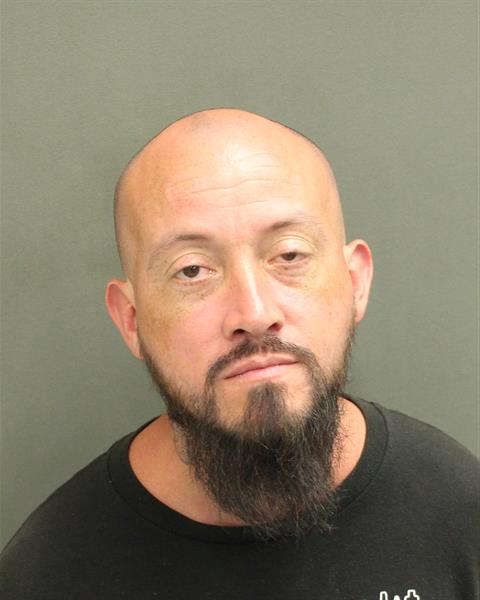  DAVID LORENZO Mugshot / County Arrests / Orange County Arrests